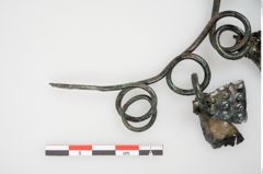 Foto von Bronzehalsreif (NHMW-PRAE-025736)